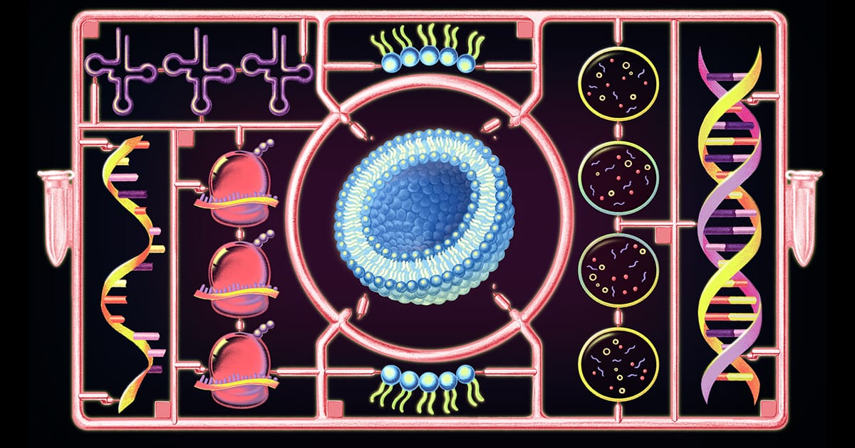 Kate Adamala's synthetic cell, a membrane-bound cluster of nonliving biomolecules that grew and divided in the lab